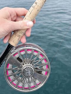 Ближний котел сдулся а дальняя точка у Абу-Даби отдала kingfish 5-7 кг