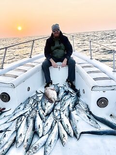 Котлы в Абу-Даби двигались по чайке а kingfish в этот раз не крутил носом