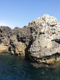 Воскресный отвес и поджиговка в Севастополе закончились дельфинами на полведра ставриды