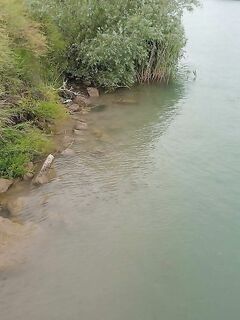 Последний вечер на Манавгате оставил мне белые подсказки по воблерам но ни одного тычка