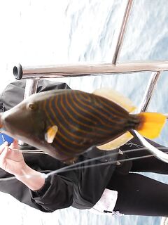 Шармская рыбалка за 60 долларов свелась к одной блесне на ходу и спешному уходу со второй точки