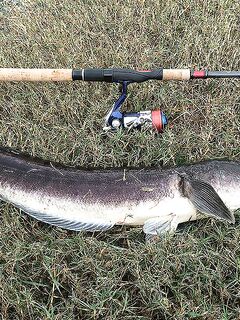 Pilot 111, Самет, Озеро гигантов и Jomtien Fishing Park в одном тайском отпуске вокруг ПТТ