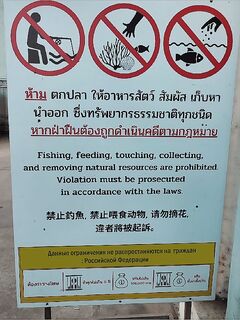 На Самете запретные таблички вытеснили меня в порт а ночная попытка по кальмару уперлась в пустое море