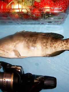 Январские десять дней в Коньяалты сразу разложились на утренние выходы вечернее море и рынок между ними