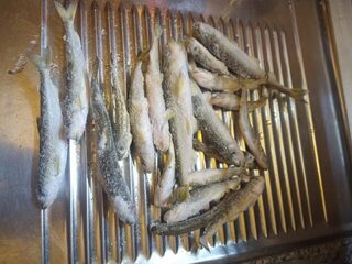 Белое море у Северодвинска: зимняя ловля корюшки на ветру в сильный мороз