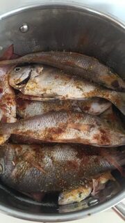 Кабо-Верде: морская ловля с лодки, тунец, акулы и разная океанская мелочь