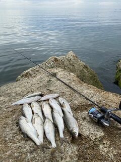 Каспийское море, поселок Рыбный: береговая рыбалка на воблу и бычка в районе Избербаша