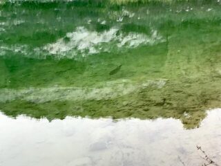Кипр, Эврету: ловля басса в верховьях и низовьях после получения лицензии