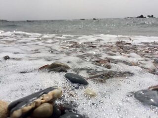 Кипр, Эврету: ловля басса в верховьях и низовьях после получения лицензии