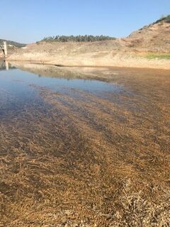 Кипр, водохранилище Канавью: ловля басса на спиннинг дальними забросами и глубокими приманками