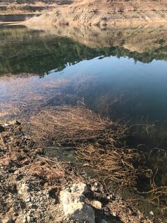 Кипр, водохранилище Канавью: ловля басса на спиннинг дальними забросами и глубокими приманками