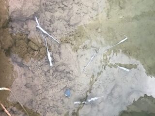 Кипр: морская спиннинговая ловля барракуды с каменистого берега и с небольшой пристани