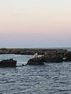Кипр: морская спиннинговая ловля барракуды с каменистого берега и с небольшой пристани
