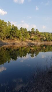 Кипр, Канавью: вечерняя ловля басса на техасскую оснастку у дамбы осенью