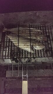 Кипр: ловля на пилькер 17 г осенью в теплом море при очень редких поклевках