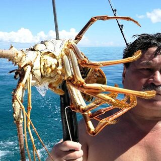 Куба: морская рыбалка на Карибском побережье и легкий спиннинг с лодок в манграх Кайо-Коко
