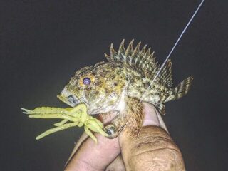 Летний морской спиннинг в Севастополе на Чёрном море: скорпена, ласкирь и береговые снасти