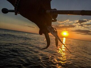 Чёрное море: поиск саргана с открытого каяка на пилькер и вечерняя ловля ставриды с берега
