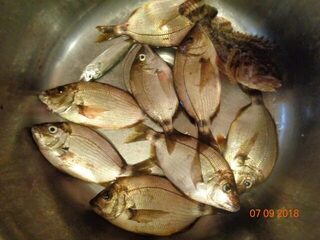 Рыбалка на Чёрном море у Большого Утриша в шторм на бомбарду с мясной насадкой
