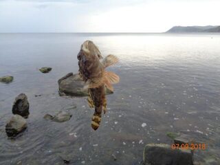 Рыбалка на Чёрном море у Большого Утриша в шторм на бомбарду с мясной насадкой