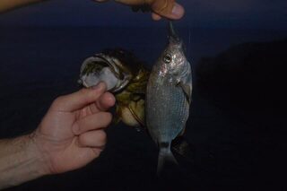 Сочи, Чёрное море: морская рыбалка со спиннингом на пилькеры и раков с берега у камней