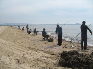 Анапа, Чёрное море: ловля пеленгаса на морского червя с песчаного пляжа