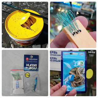 Рыбалка в Сочи на Чёрном море: июньские наблюдения в порту, реке и Адлере