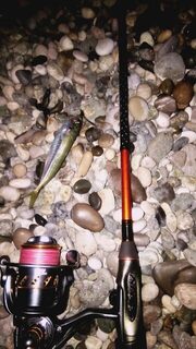 Абхазия, посёлок Лидзава: ночная береговая ловля ставриды и горбыля на спиннинг на Чёрном море