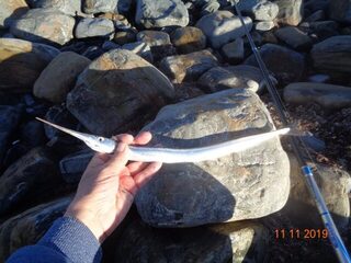 Осенняя рыбалка на Чёрном море у Большого Утриша с бомбардой и морской рыбой