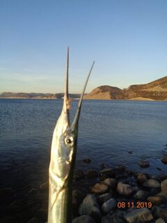 Осенняя рыбалка на Чёрном море у Большого Утриша с бомбардой и морской рыбой