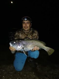 Черное море: ночная береговая ловля горбыля на силиконового рачка в спокойной воде