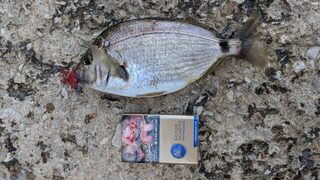 Вечерняя рыбалка в Судаке на Чёрном море у Генуэзской крепости среди камней