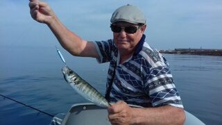 Рыбалка на Чёрном море: какие пилькеры беру на ставриду, саргана и луфаря