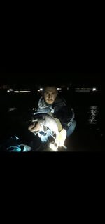 Чёрное море: ловля горбыля воблерами с подбором кренков и рабочих проводок