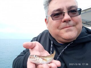 Рыбалка в Алуште на Чёрном море: ставрида на самодур с буны и с катера