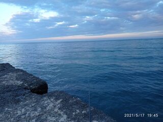 Рыбалка в Алуште на Чёрном море: ставрида на самодур с буны и с катера