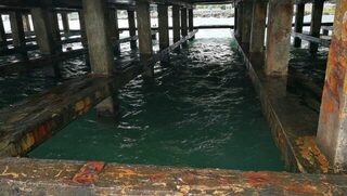 Чёрное море, Новомихайловский: ловля карася с лодки и с пирса в Лермонтово