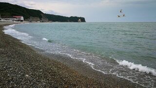 Чёрное море, Новомихайловский: ловля карася с лодки и с пирса в Лермонтово
