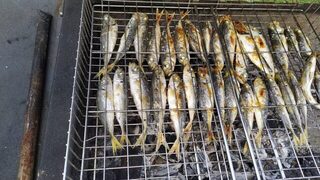 Чёрное море: вечерняя береговая ловля ставридки дальним забросом с братом