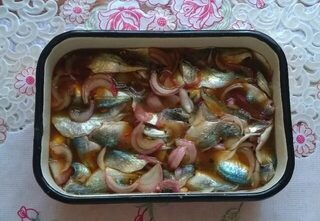 Рыбалка на Чёрном море: луфарь и ставрида для жарки, копчения и запасов