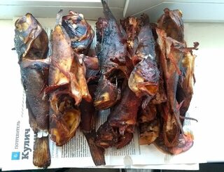 На Чёрном море морская рыбалка: ночная ловля ерша на отводной поводок с тиролькой и Tioga