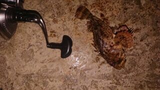 Ночная ловля ставриды спиннингом на Чёрном море, пока клевало до полуночи