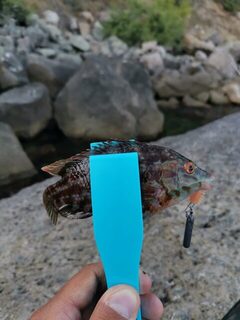 Крым, Алупка и Чёрное море: морская спиннинговая рыбалка с берега и сменой времени ловли