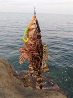 Крым, Алупка и Чёрное море: морская спиннинговая рыбалка с берега и сменой времени ловли