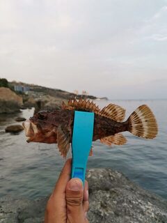 Крым, Алупка и Чёрное море: морская спиннинговая рыбалка с берега и сменой времени ловли