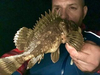 Рыбалка в Сочи на Чёрном море: ночная ловля крупной скорпены и зеленухи