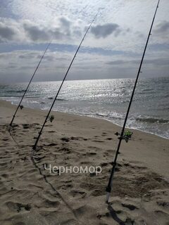 Рыбалка на Чёрном море: дальние забросы за кефалью и сарганом в сильный ветер