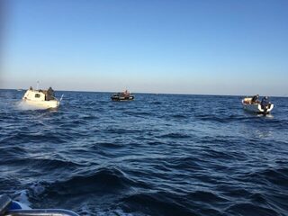 Рыбалка на Чёрном море: трудовой луфарь на самодуры и селедочную проводку