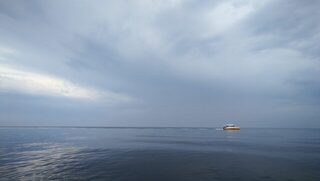 Чёрное море: ловля отборного карася с лодки на свале на пилькеры с червём