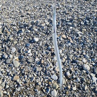 Чёрное море: предрассветная ловля луфаря на воблеры до паузы на рассвете